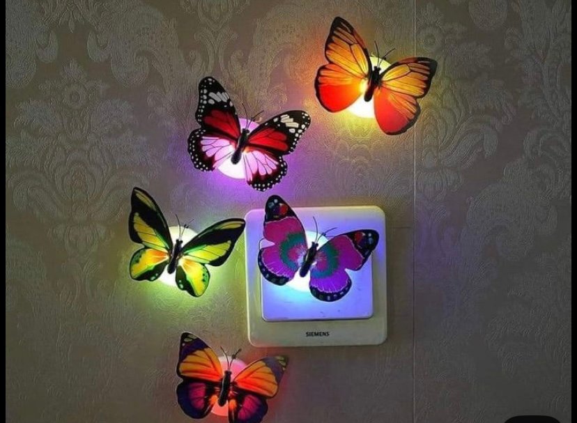 Butterfly led lights